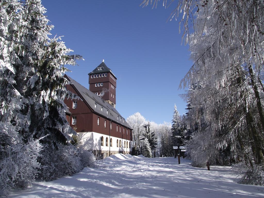 Estel Bärenstein