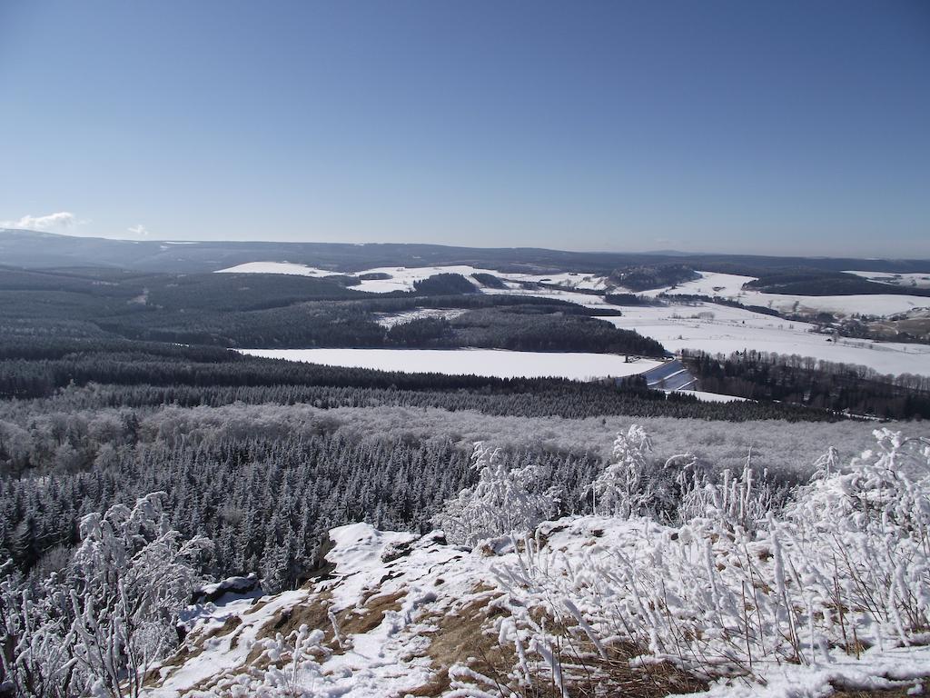 Estel Bärenstein
