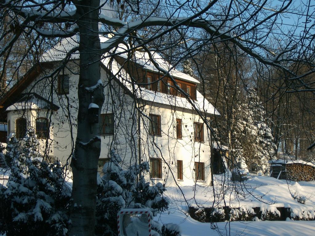 Apartment Estel